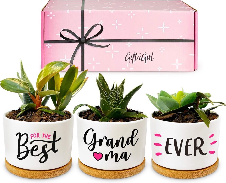 Grandma Ever Gift Box 