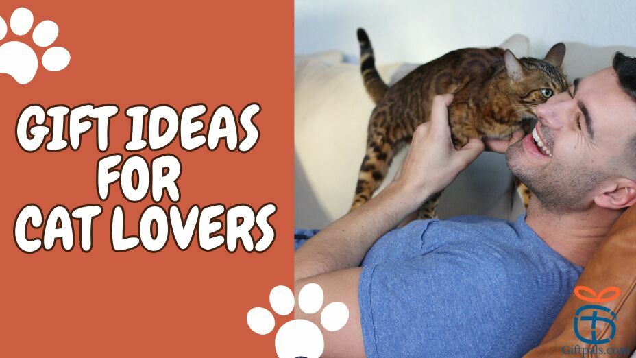 The Best Cat Owner Gift Ideas