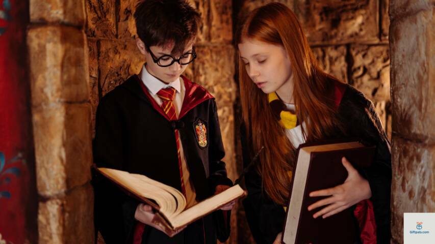 Harry Potter Costumes