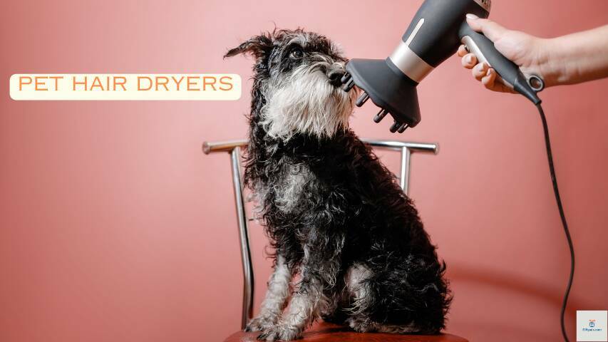 Pet Hair Dryers