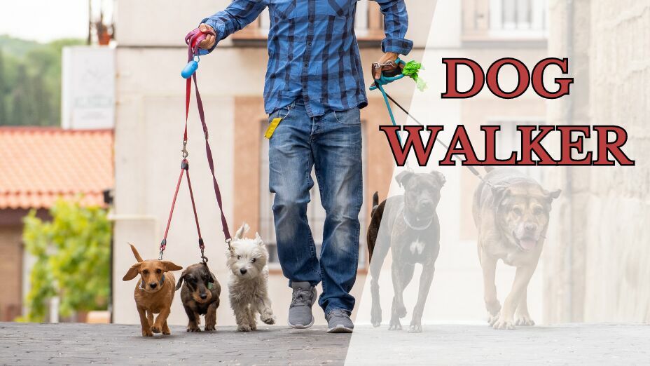 The Best Gift Guide for Dog Walker