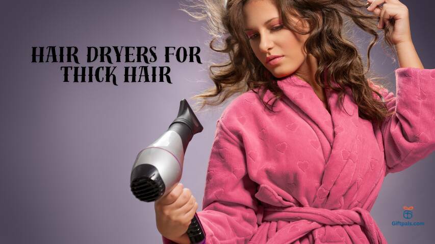 Hair Dryers for Thick Hair