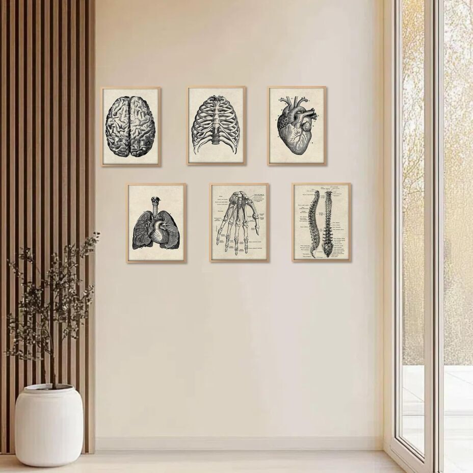 Vintage Medical Prints Collection