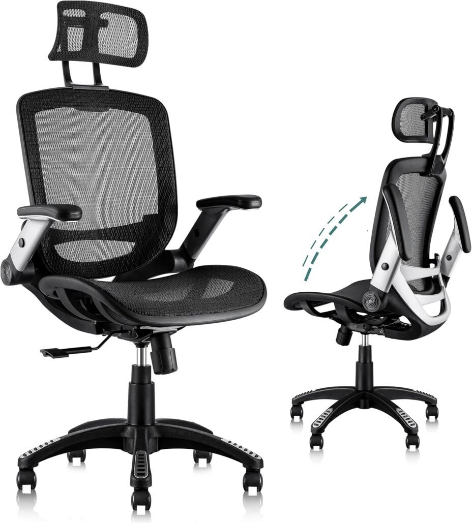 GABRYLLY Ergonomic Office Chair with Adjustable Headrest for Comfort