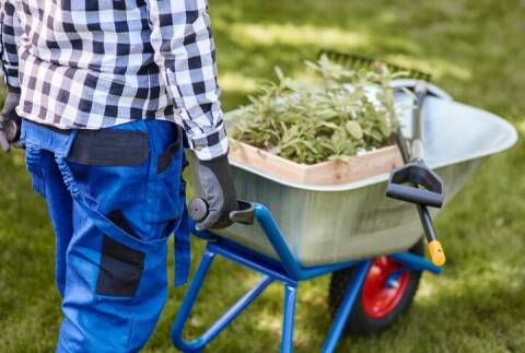 Navigating the Green Oasis: A Comprehensive Guide to Garden Carts and Ideal Gift-Giving Moments