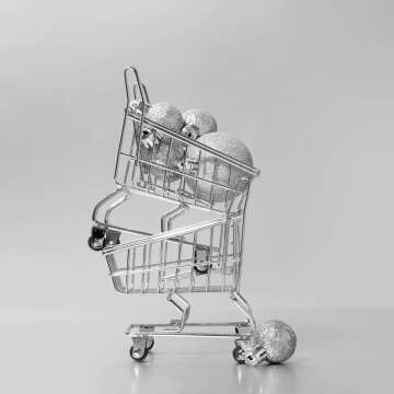 Portable Shopping Carts