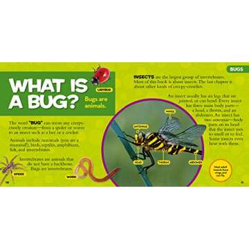 National Geographic Little Kids First Big Book of Bugs (National Geographic Little Kids First Big Books)