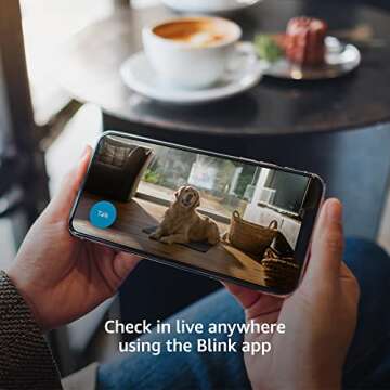 Blink Mini - Compact indoor plug-in smart security camera, 1080p HD video, night vision, motion detection, two-way audio, easy set up, Works with Alexa – 3 cameras (Black)