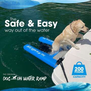 Dog Water Ramp