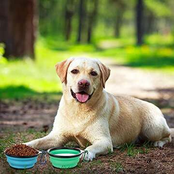 Portable Collapsible Pet Bowls with Covers - 2 Pack