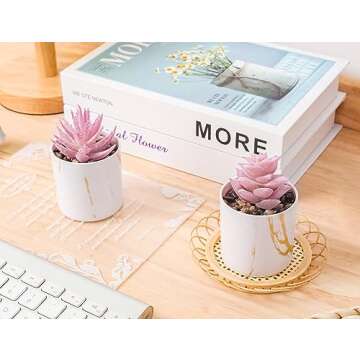 Der Rose Set of 2 Succulents Plants Artificial Mini Fake Succulents Plants for Office Desk Accessories for Women Pink Home Decor