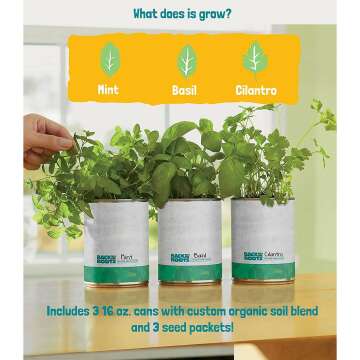 Kitchen Herb Garden Kit