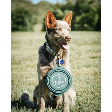 Ruff BarkBowl - Silicone Dog Bowl (Teal)