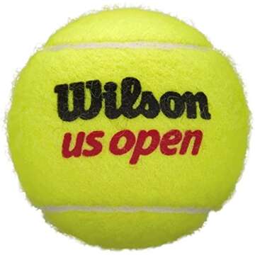 WILSON US Open Extra Duty Tennis Balls YLW