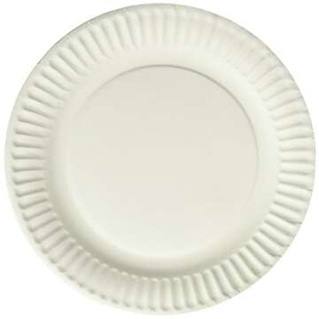 Empress Uncoated Paper Plate, 9 Inches, White, Pack of 100 - 1004997