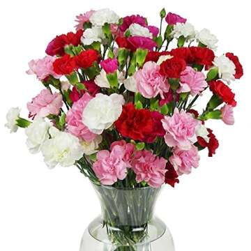 Rainbow Carnations Bouquet