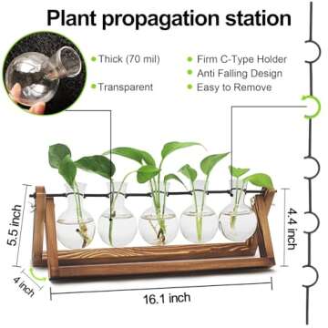 Renmxj Plant Propagation Station, Propagation Vases for Plants, Unique Gardening Birthday Gifts for Women Plant Lovers Mom Best Friend - 5 Bulb Glass Vases