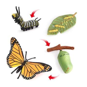 Butterfly Growth Cycle, Animal Growth Cycle Biological Model, Growth Stage Lifelike Butterfly Life Cycle Model Set for Kids Education Insect Themed Party Favors