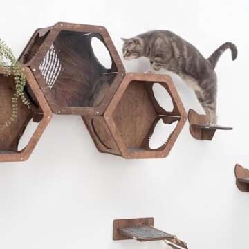 Rustic Wall Mounted Cat Shelves for Indoor Cats