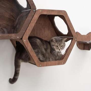 Rustic Wall Mounted Cat Shelves for Indoor Cats