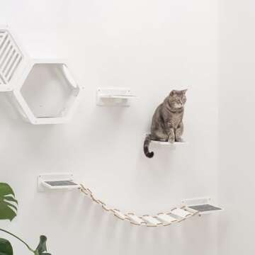 Rustic Wall Mounted Cat Shelves for Indoor Cats