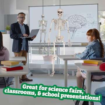 Life Size Human Skeleton Model for Anatomy Study- Scientific Body w Movable Joints, Arms & Legs- Skeletal System Details for School Classroom, Medical Learning- Full Structure Feat. Skull, Ribs & More