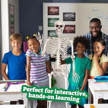 Life Size Human Skeleton Model for Anatomy Study- Scientific Body w Movable Joints, Arms & Legs- Skeletal System Details for School Classroom, Medical Learning- Full Structure Feat. Skull, Ribs & More