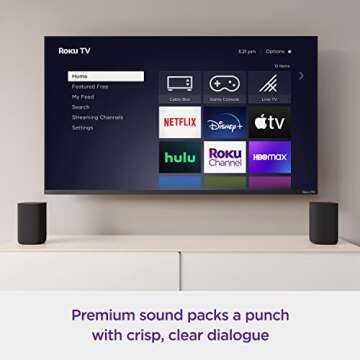 Roku Wireless Speakers for Smart Audio & TV