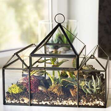 D'Eco Glass Castle Plant Terrarium (10x4.5x9) - Indoor Tabletop & Hanging Black Geometric Planter - Succulents, Air Plants, Moss, Fern - Home Garden Office Decor - Gift for Plant Lovers