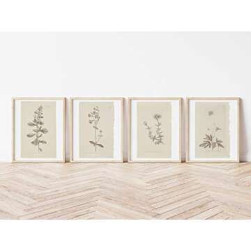 Wall Art Botanical Plant Prints | Vintage Flower Boho Minimalist Floral Artwork Decor for Bedroom, Living Room, Bathroom, Home or Office Walls | Set of 4 UNFRAMED Pictures (8 x 10)