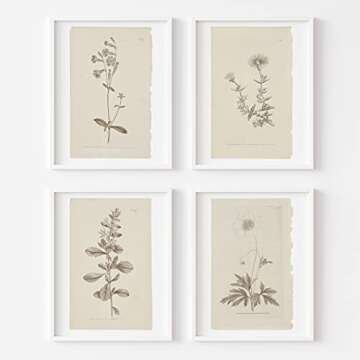 Wall Art Botanical Plant Prints | Vintage Flower Boho Minimalist Floral Artwork Decor for Bedroom, Living Room, Bathroom, Home or Office Walls | Set of 4 UNFRAMED Pictures (8 x 10)