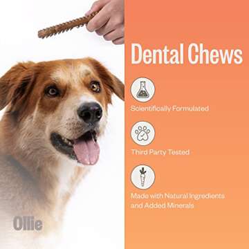 Ollie Dental Chews for Dogs Small - Dog Breath Treats - Dog Teeth Cleaning Treat -Dental Sticks for Dogs - Fresh Breath for Dogs - Dental Treats for Dogs - Dog Dental Care - 12 Oz.