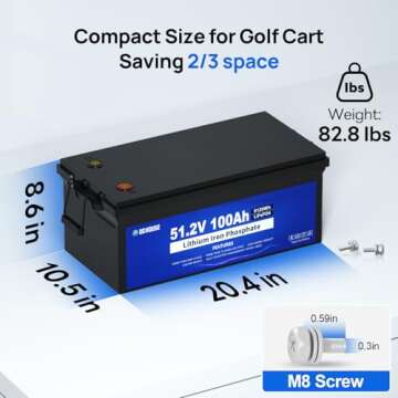 48V 100Ah Golf Cart Battery with Smart Charger