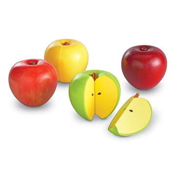 Learning Resources Magnetic Apple Fractions, Multi-color, 10.5 x 10.4 x 3.2 inches (LER0904)