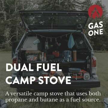 Gas One GS-3400P Propane Portable Camping Stove