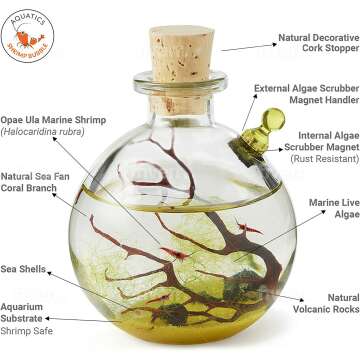 Shrimp Bubble Self-Sustaining Ecosystem Kit