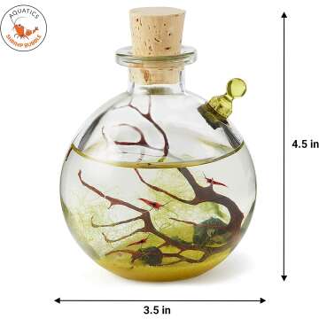 Shrimp Bubble Self-Sustaining Ecosystem Kit