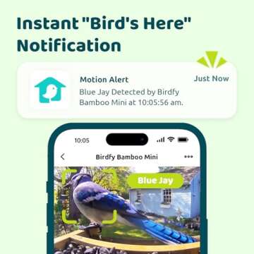Birdfy AI Smart Bird Feeder with Camera, High-End Bamboo, Mini in Size, Solar Powered, Permanent AI Identifies 6000+ Bird Species with Motion Detection, Ideal Gift Present