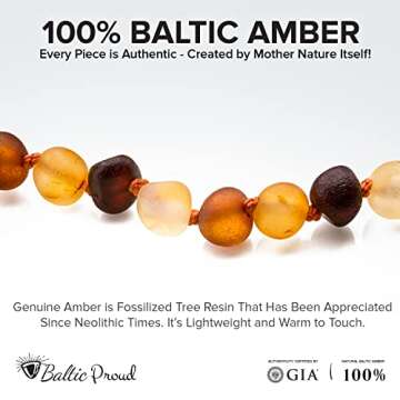 Raw Baltic Proud Amber Necklace and Bracelet Gift Set (Unisex Multi Raw 12.5 Inches/5.5 Inches) - Certified Premium Quality Raw Baltic Sea Amber