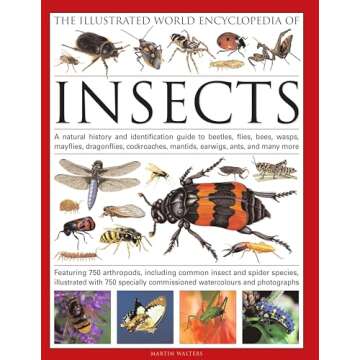 The Illustrated World Encyclopedia of Insects: A Natural History and Identification Guide to Beetles, Flies, Bees, wasps, Springtails, Mayflies, ... Crickets, Bugs, Grasshoppers, Fleas, Spid