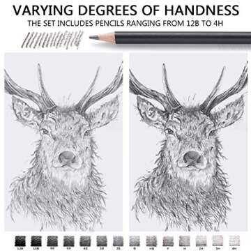 MARKART Professional Drawing Sketching Pencil Set - 14 Pieces,Graphite,(12B - 4H), Ideal for Drawing Art, Sketching, Shading, Artist Pencils for Beginners & Pro Artists