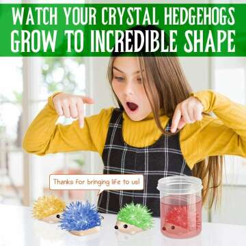 Colorful Crystal Growing Kit