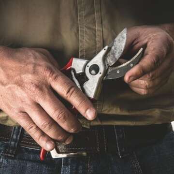 FELCO F-2 Classic Ergonomic Hand Pruner in Red