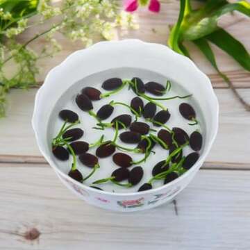 Mixed Pink Red Green Lotus Seeds for Planting