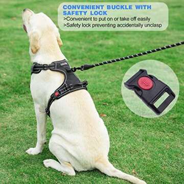 No Pull Dog Harness for Medium Large Dogs - TobeDRI