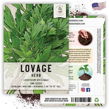 Seed Needs Lovage Seeds for Planting - Non-GMO, Heirloom & Untreated - Organically Grow Your own Medicinal/Culinary Herb Garden Indoors or Outdoors (5 Packs)