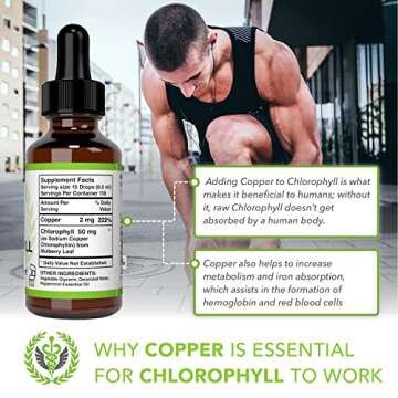 Benevolent Chlorophyll Liquid Drops – Organic Detox & Immune Support, Internal Deodorizer & Skin Health Supplement, Non-GMO, 4 Month Supply, Natural Mint Flavor