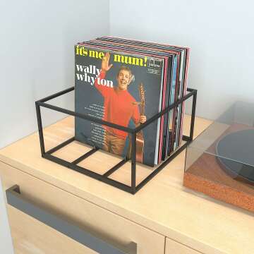 Vinyl Record Storage Holder