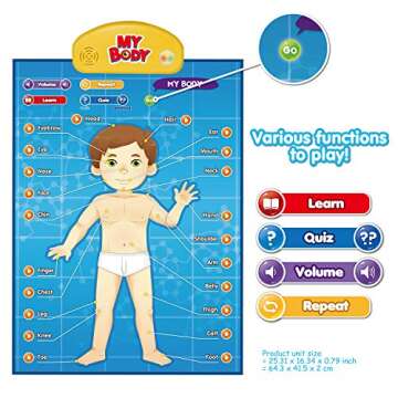 BEST LEARNING i-Poster My Body - Interactive Educational Human Anatomy Talking Game Toy | Learn Body Parts, Organs, Muscles and Bones for Kids Aged 5 to 12 Years Old