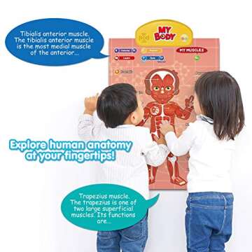 BEST LEARNING i-Poster My Body - Interactive Educational Human Anatomy Talking Game Toy | Learn Body Parts, Organs, Muscles and Bones for Kids Aged 5 to 12 Years Old